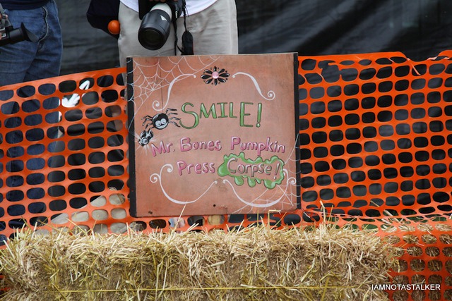 Mr-Bones-Pumpkin-Patch-6