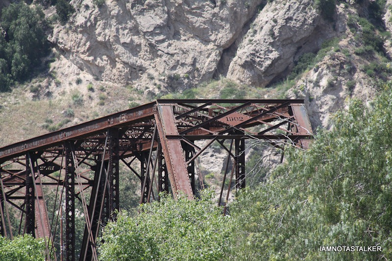 Highway-126-Stalking-(15-of-248)
