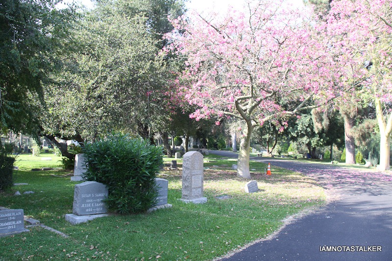 sierra-madre-cemetary-4