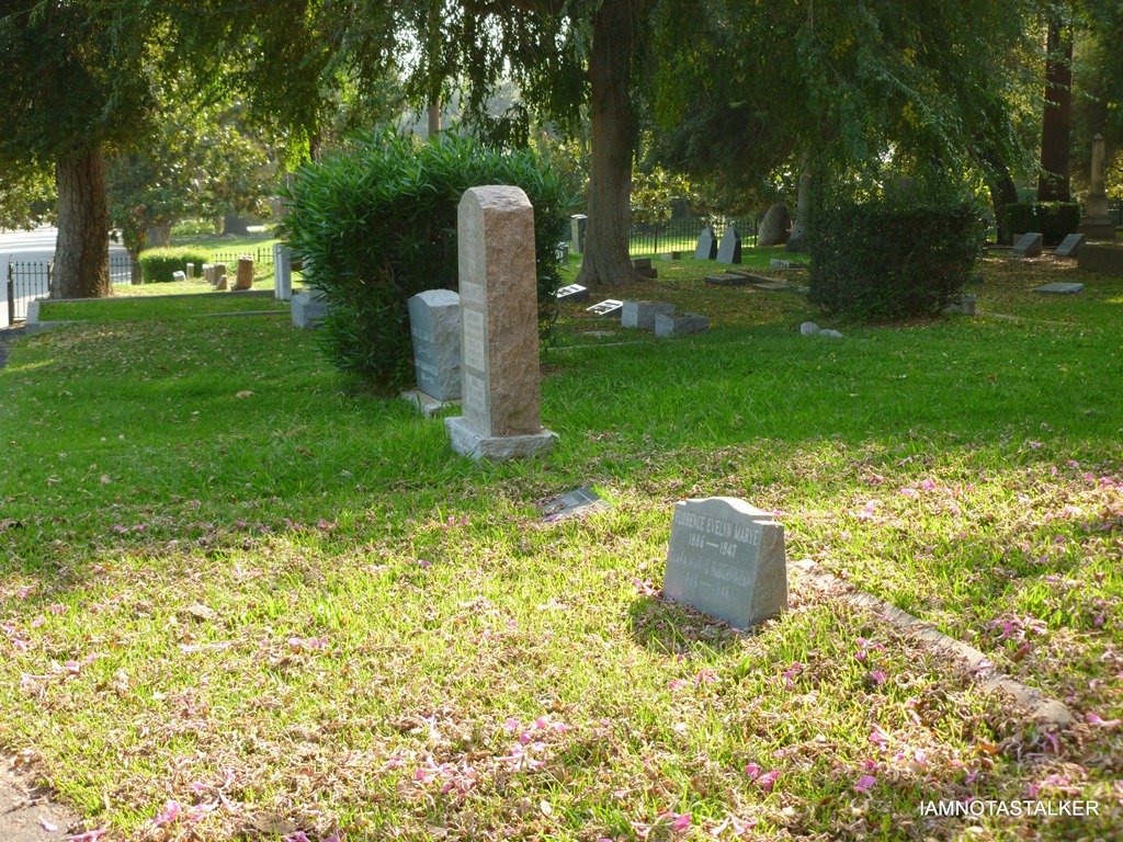 P1010541