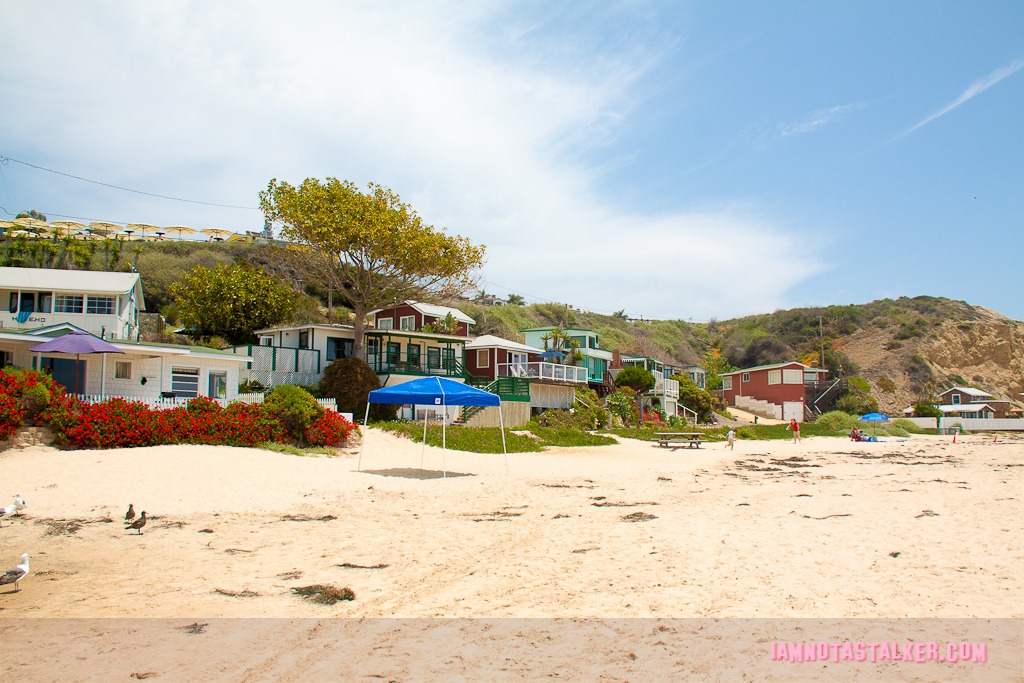 The Beaches Cottage - Crystal Cove-1778