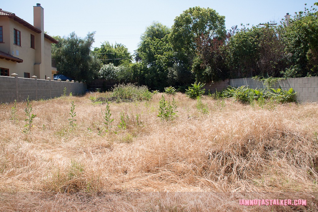Smallest Park - Parks and Recreation-2