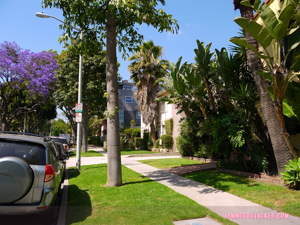 Ariel's House L.A. Story (8 of 9)