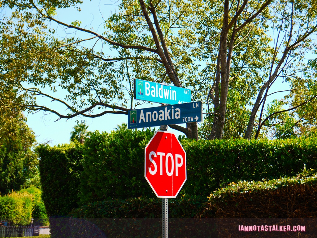 Doppelganger Psychiatric Hospital Anoakia (9 of 12)