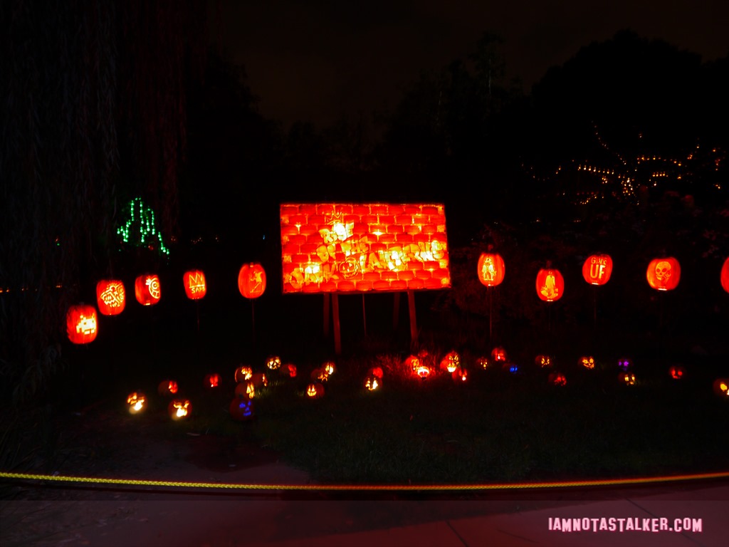 RISE of the Jack O'