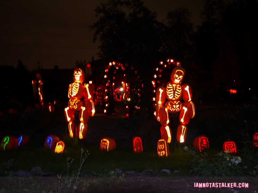 RISE of the Jack O'
