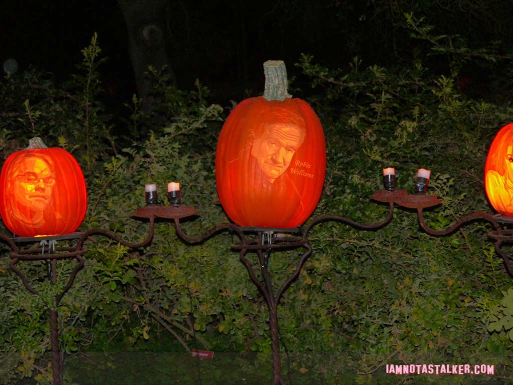 RISE of the Jack O'