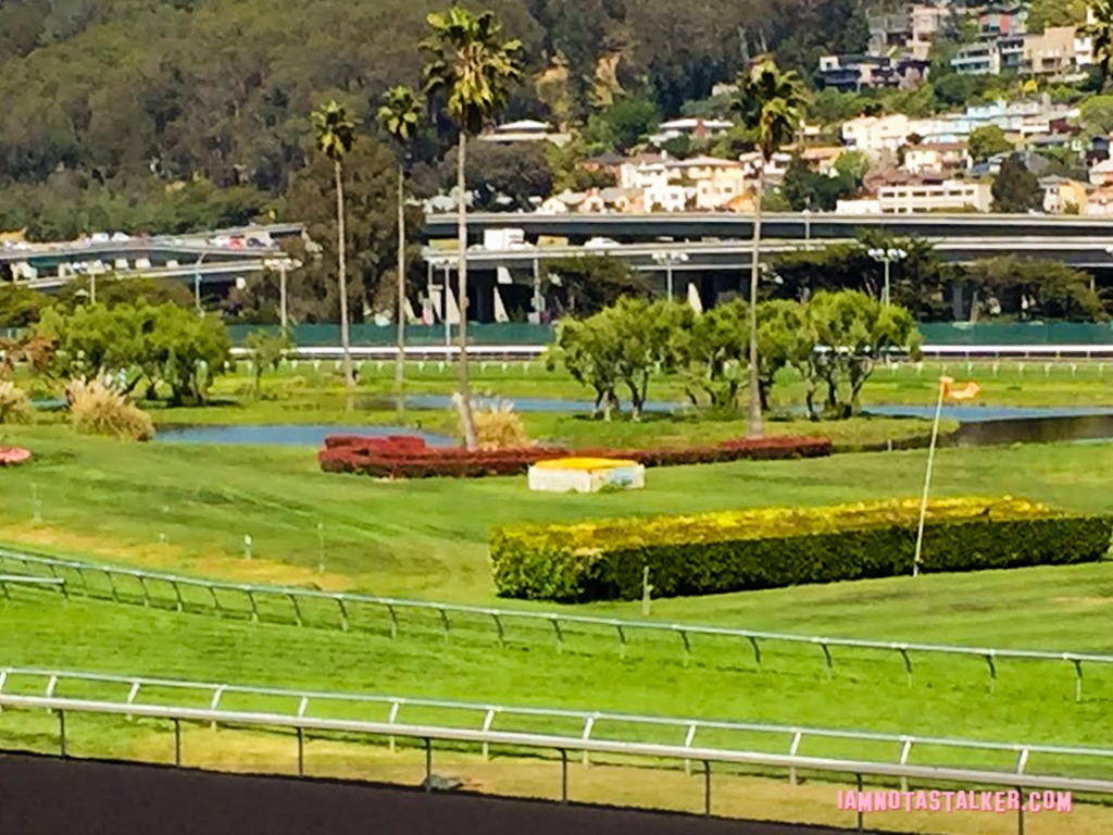 Golden Gate Fields Berkeley  (6 of 6)