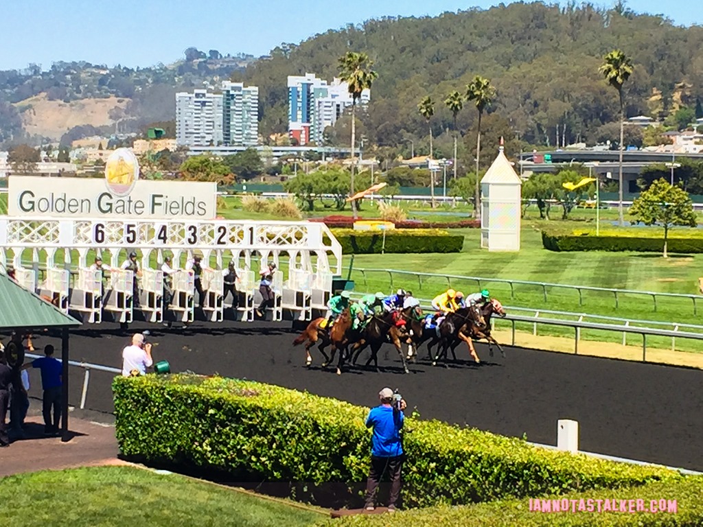 Golden Gate Fields Berkeley  (3 of 6)