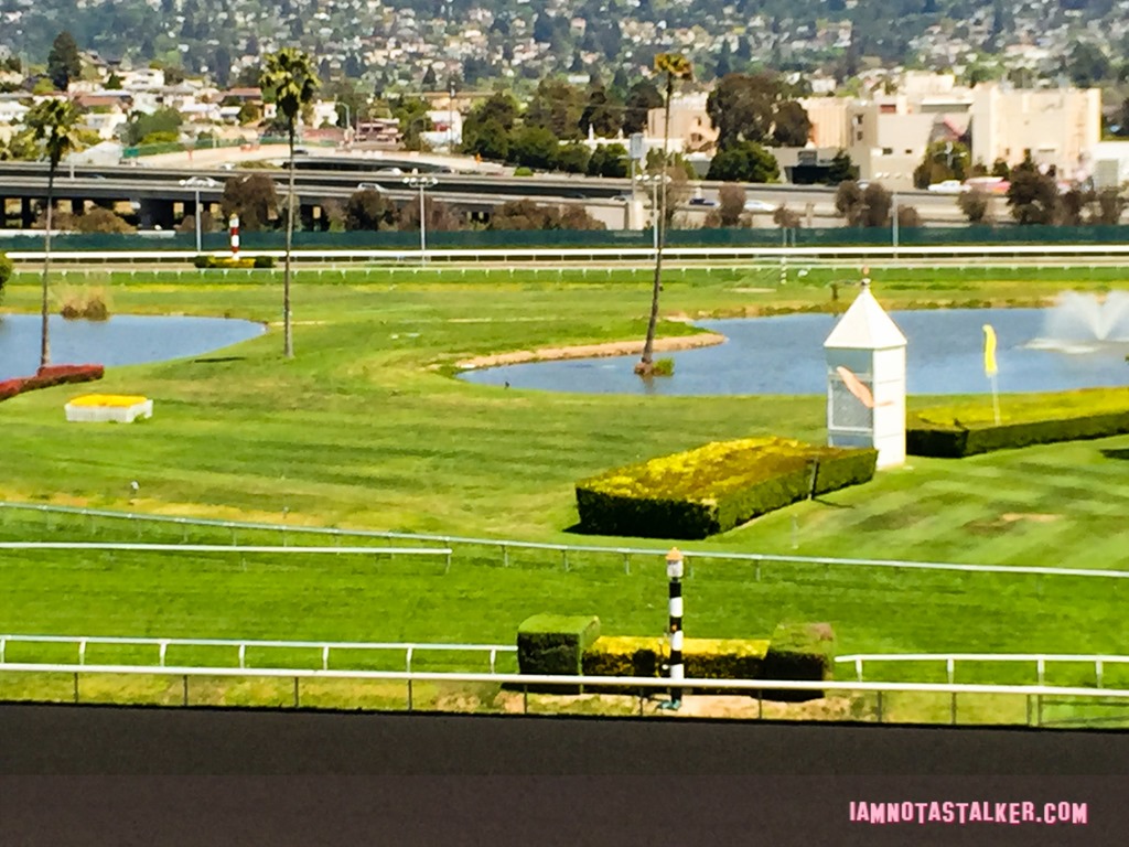Golden Gate Fields Berkeley  (1 of 6)