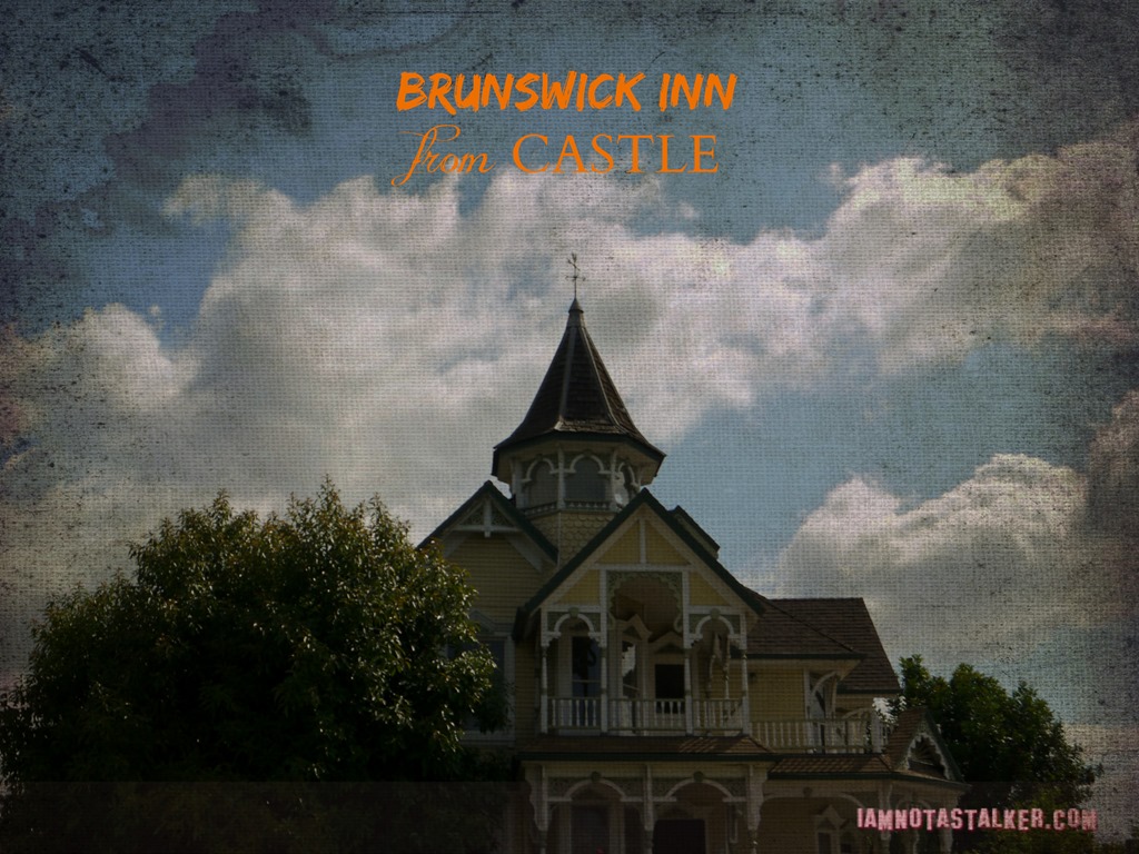 Brunswick Inn from Castle (3 of 16)