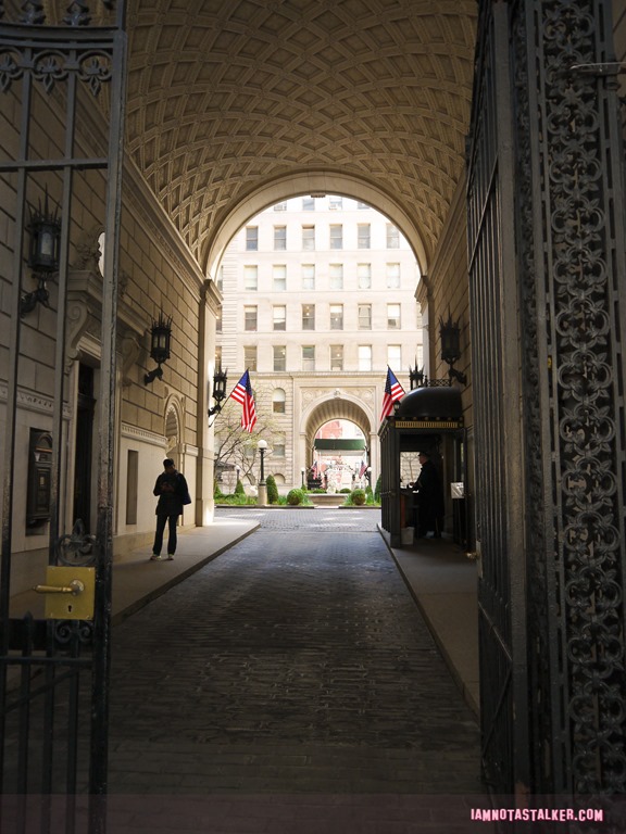 The Apthorp from Funny Farm-1140133