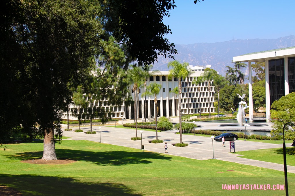 Ambassador College from That Thing You Do-5051