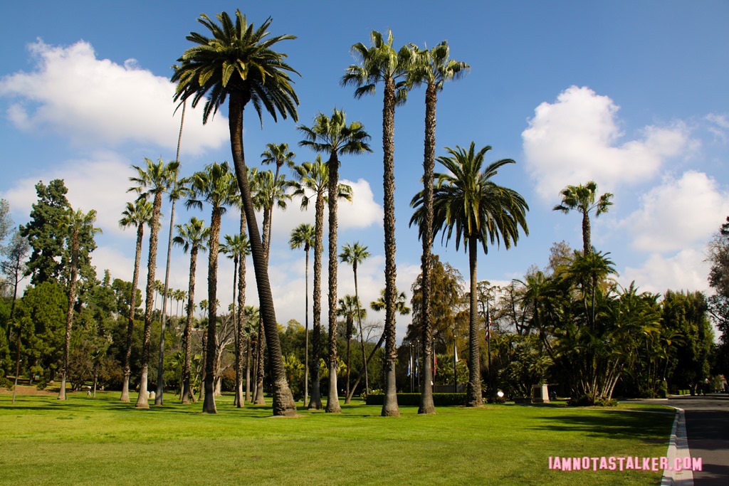 Lacy Park from Say Anything-7009