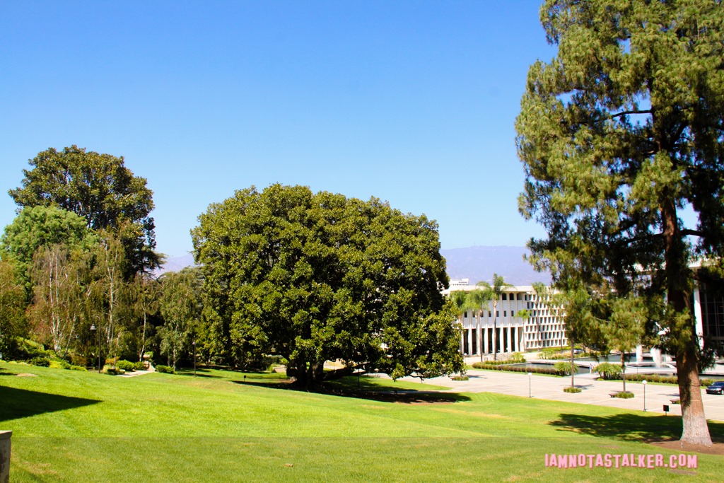 Ambassador College from That Thing You Do-5052
