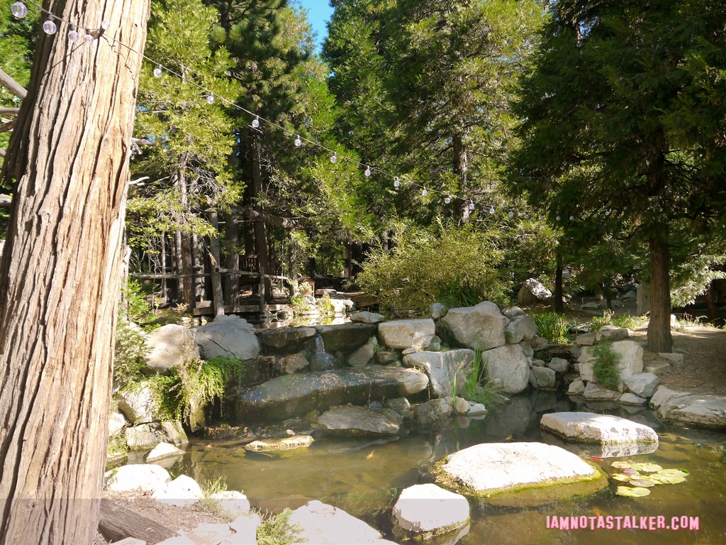 Arrowhead Pine Rose Cabins from Veep-1200413